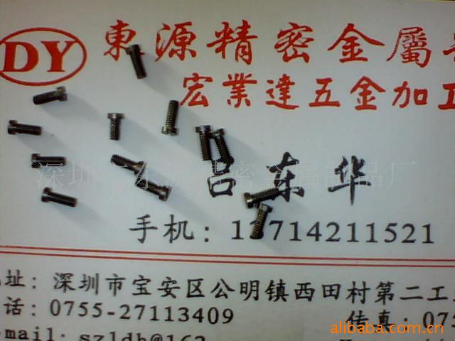 供应微型铆钉,微型螺丝,微型销钉