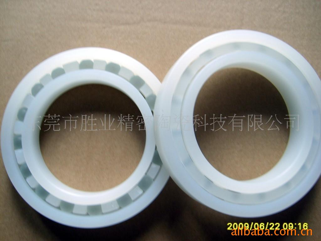 塑料轴承（6206,6306,6406,6807）