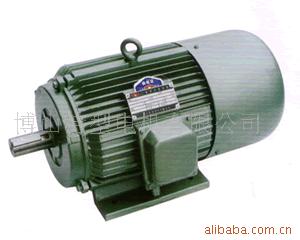 供应变频电机