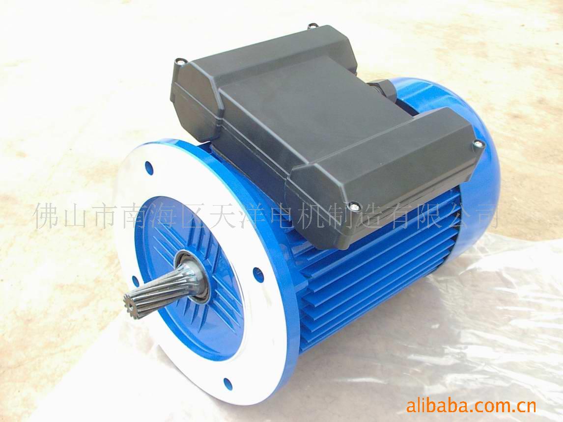YL系列单相双值电容异步铝壳电机天洋马达tianyang电机