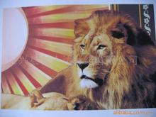 �S�ҹ���ӡ���p��q ��D���� �໨��ӡ���q������