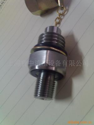 supply stainless steel Joint