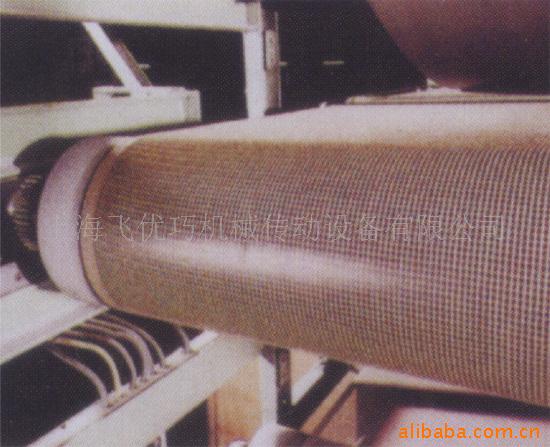 供应罐蒸机网带/特氟龙网带