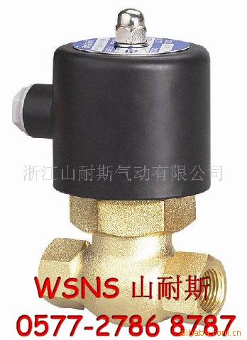山耐斯 2W025-08 常闭开水阀 WSNS 纯铜 2W-08 电磁阀 08K 常开
