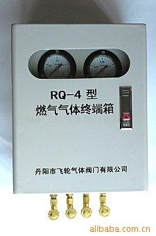 供应燃气气体终端箱 RQ-4