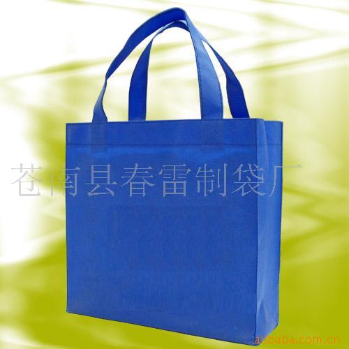 供应无纺布袋 环保购物袋 PP无纺布