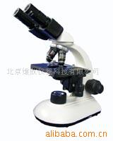 XSB显微镜生物显微镜