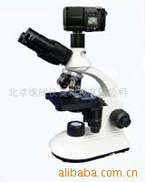 XSB204三目生物显微镜