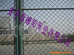 供应勾花护栏网，球场护栏网，勾花网