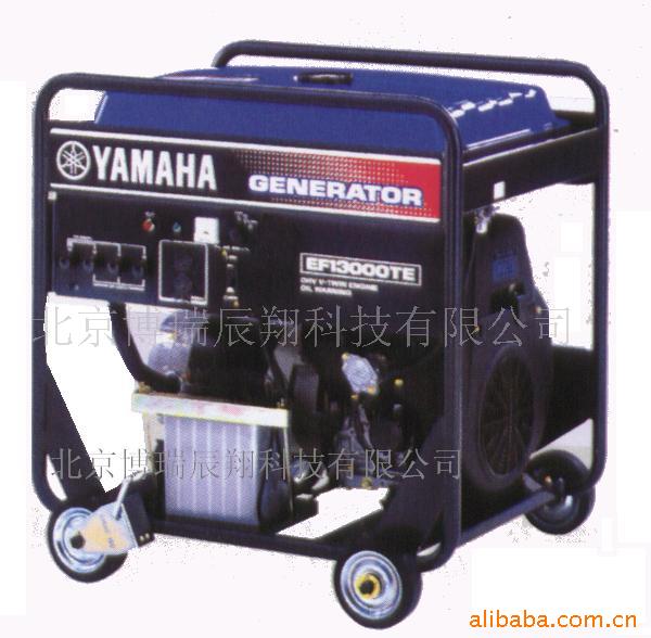 供应雅马哈汽油发电机 EF13000E