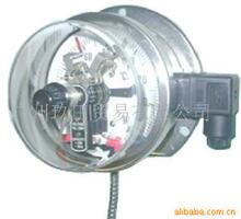 供應壓力表 電接點溫度表 意大利NUOVA FIMA壓力表 NUOVA FIMA