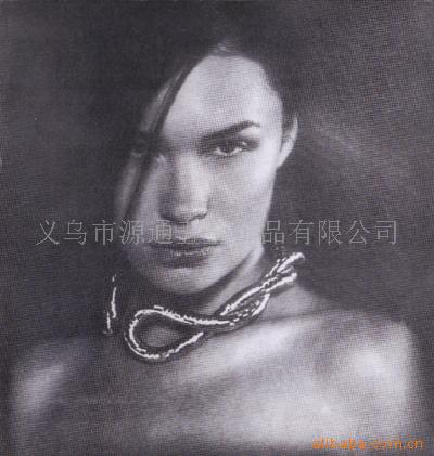 不锈钢蛇形项链