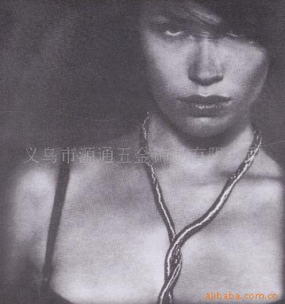 不锈钢蛇形项链