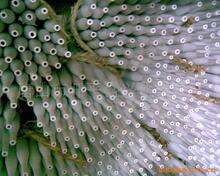 �S�ҹ����y��x��540*22*18mm������