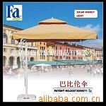 Вавилонский зонтик