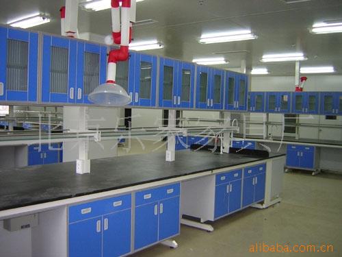 厂家供应实验台通风柜 可定制多规格物理实验台批发