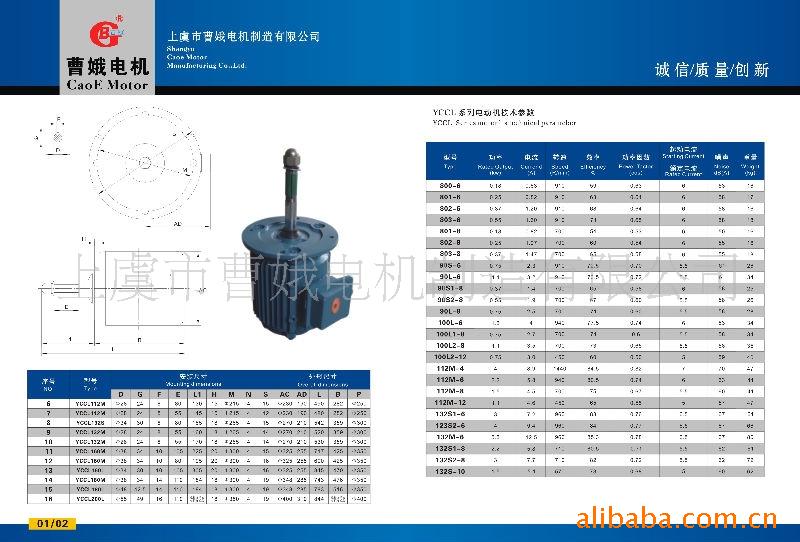 浙江曹娥电机制造有限公司