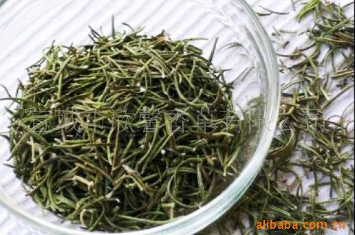 供应植物香料——迷迭香