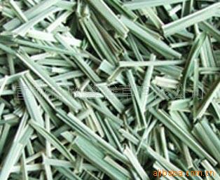 供应植物香料——香茅