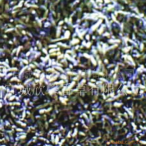 供应薰衣草干干叶香包原料枕芯花草茶|ru