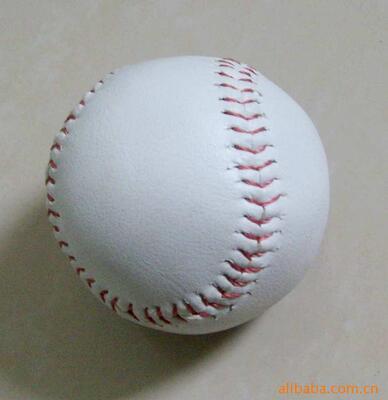 student train Dedicated Premium leather sponge ball