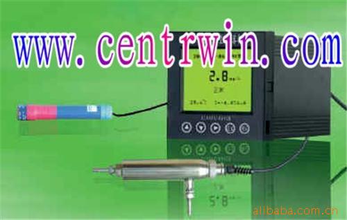 BHS5/HGY2008  在线溶氧仪/在线溶解氧