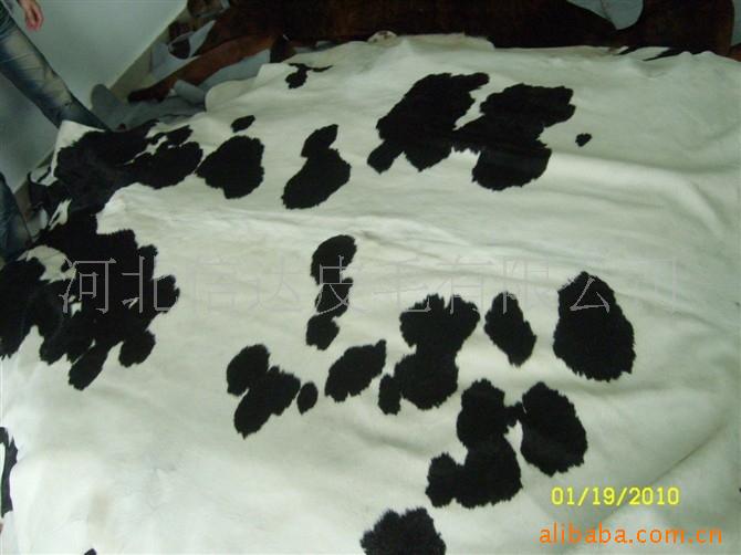 批发做软包装饰用整张奶牛毛皮