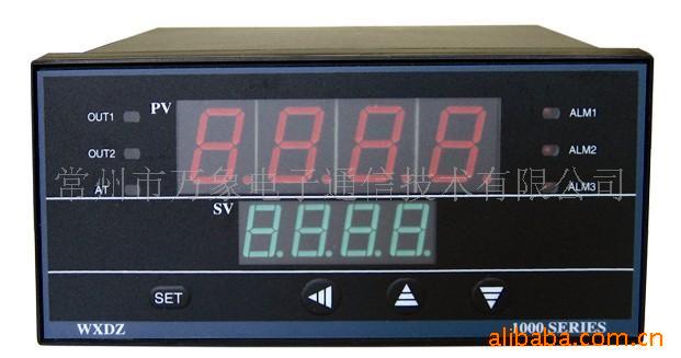 WXDZ-1000型智能温控仪 WXDZ B-120000