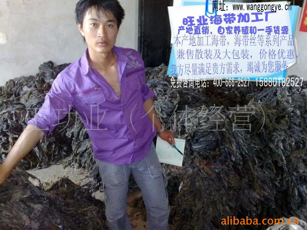 Фигура) Поставка сезонной сушеной без песка сыпучей сушеной водоросли, оптовая продажа сыпучей водоросли, легко приготовляемой водоросли с места происхождения.