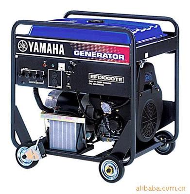 Yamaha 10KVA Gasoline Generator EF13000TE