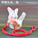 Chocolate zodiac with rope—rabbit
