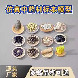 中药材标本模型仿真天麻茯苓博物馆中医中药材虫草石斛医陈列道具