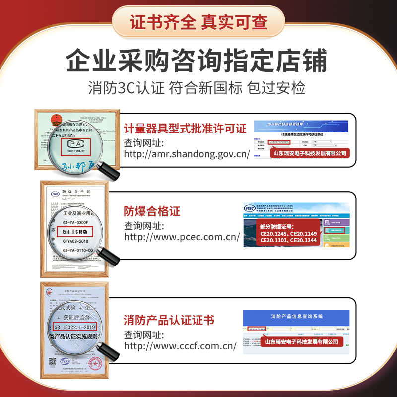 可燃性气体检测仪