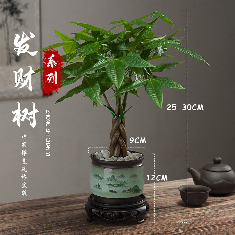 其他托盘
