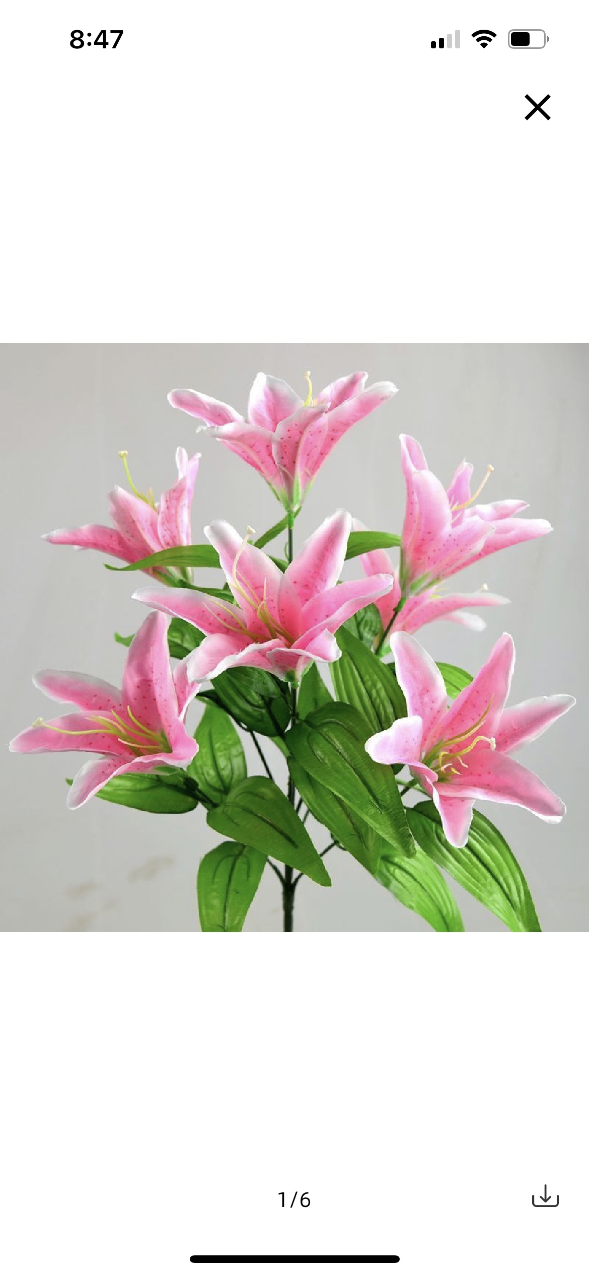 Một bó hoa huệ hồng nhạt