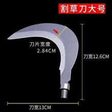 �O�ߴ��h����ˮ�ݵ���֦�N�ʹ��h12�X�҂��Сֱ̖�u�����h��\