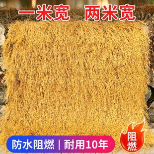 ����é�ݵ�̺ʽ����ë�����e �r���L���^�FƤ��픵��ݛ�ͤͥԺ�b