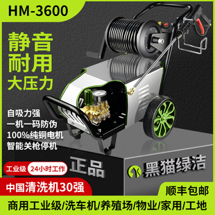 genuine goods Black Cat Green Clean Car Washer Commercial 220V Ultra High Pressure Car Wash Farm High Power Industrial Washer