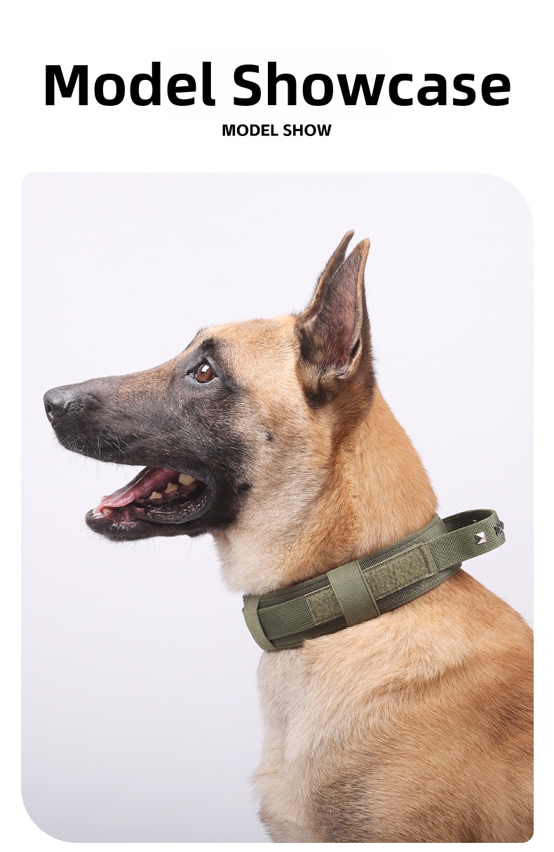 Adjustable Nylon Dog Collar For Medium And Large Breed Dogs_voghion.com