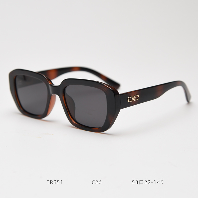 Occhiali da sole polarizzati TR90 alla moda 851, leggeri, per uomo e donna, stile retrò, ideali per i viaggi._voghion.com