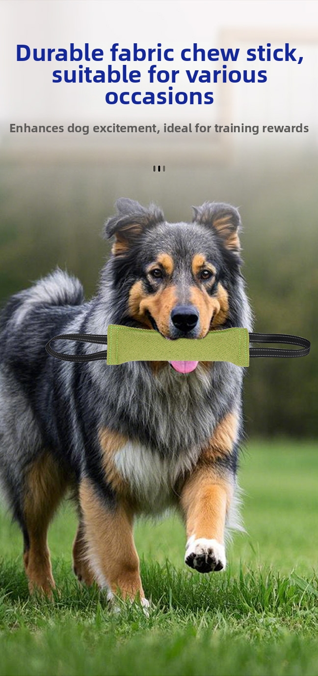 Gioco di trazione e bastone da masticare resistente per cani_voghion.com