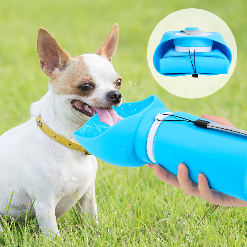 Collapsible pet water bottle compact foldable design