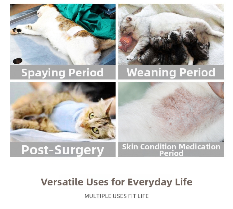 Combinaison de protection pour chat post-opératoire respirante_voghion.com
