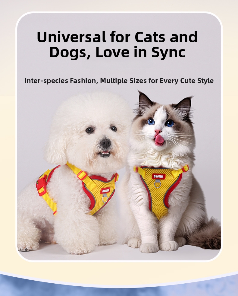 Reflective Breathable Pet Harness And Leash Set For Dogs And Cats_voghion.com