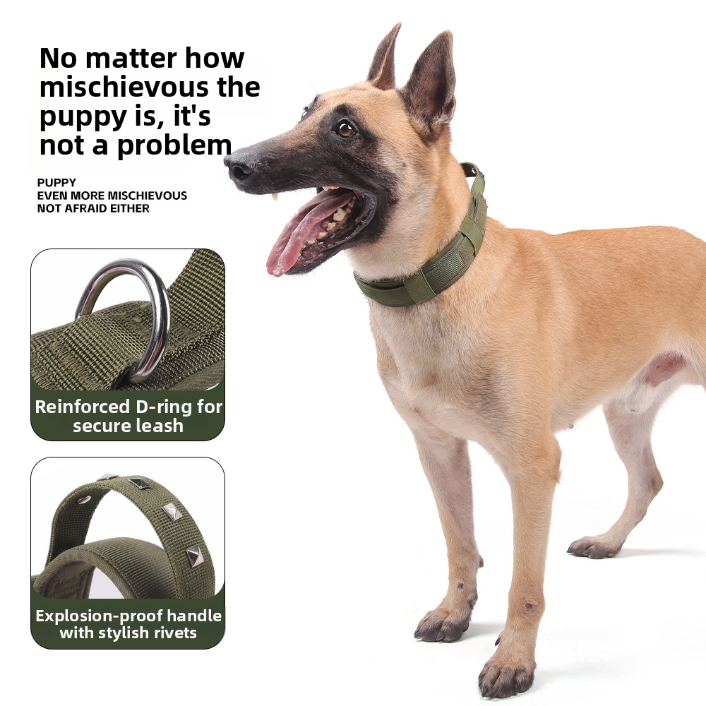 Adjustable Nylon Dog Collar With Rivets Medium To Large Breed Explosion Proof Anti Lost Pet Neck Collar For Dogs_voghion.com