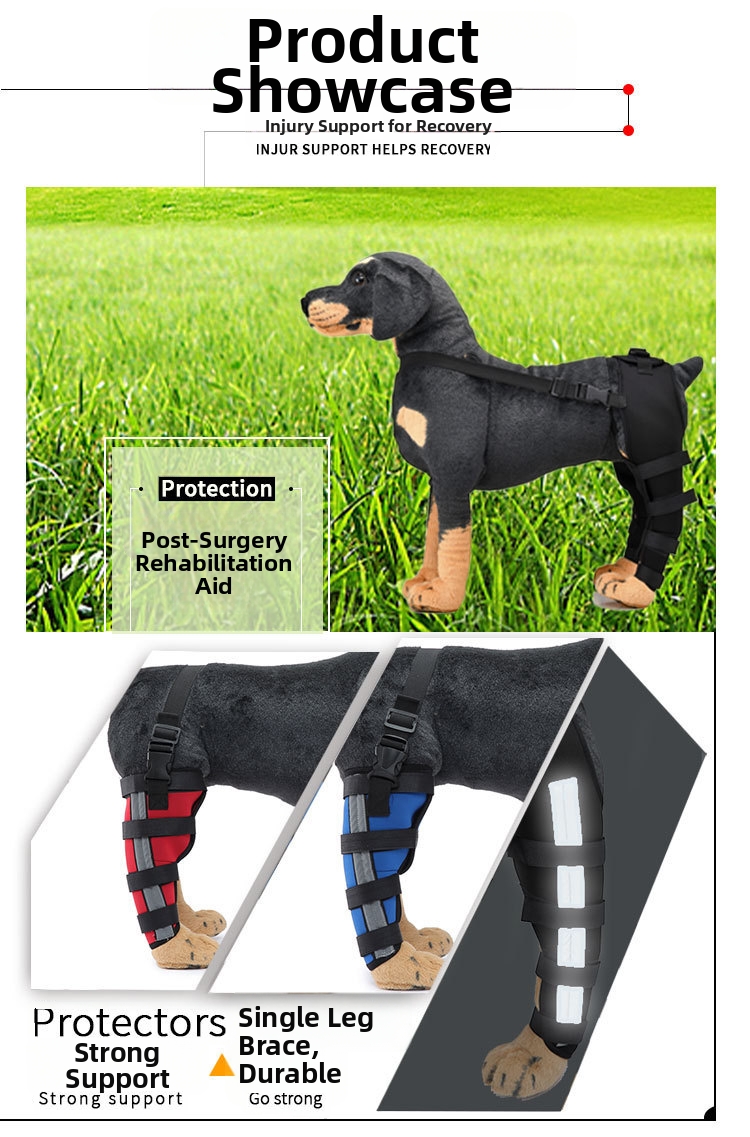 Dog Leg Brace Post-operative Support Knee Protection For Dogs_voghion.com