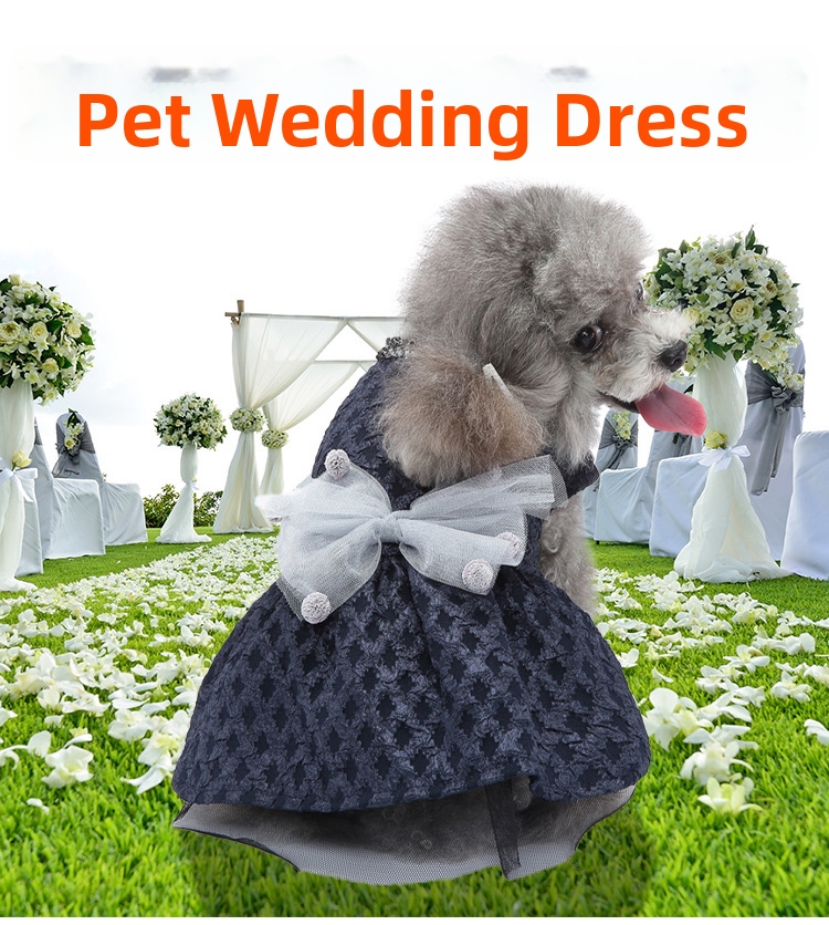 Hundklänning med rosett och dubbla lager tyll blommig prinsessa_voghion.com