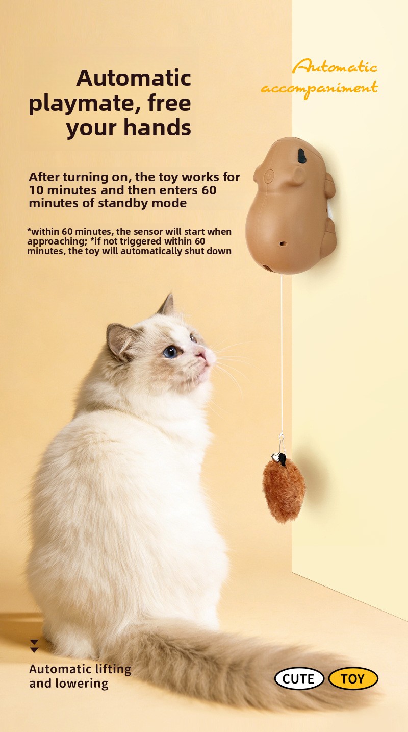 Automatic lifting interactive cat toy with motion sensor and plush ball