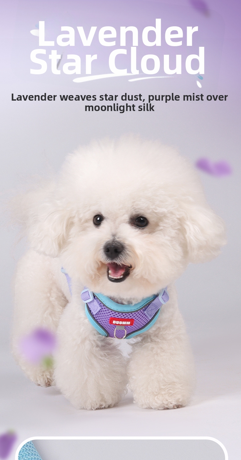Reflective Breathable Pet Harness And Leash Set For Dogs And Cats_voghion.com