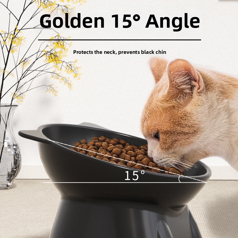 Gamelle pour chat de grande capacité, haute, en plastique, avec support incliné anti-basculement et gamelle d'eau pour animaux._voghion.com